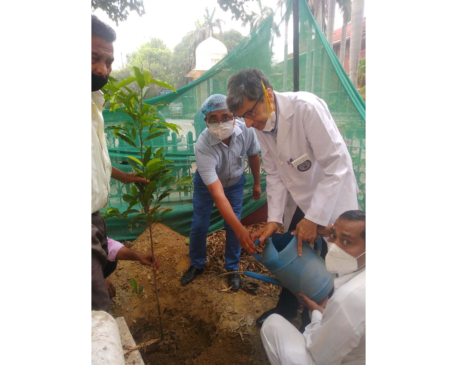 Tree plantation drive this monsoon at LHMC Maulsari (Mimusops elengi) - two more trees planted by Director N N Mathur in Inner open area of college to bring symmetry with 4 such trees